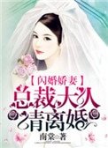 閃婚嬌妻:總裁大人請離婚