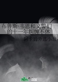 (DC同人)布魯斯·韋恩和義警們的十一年糾纏不休